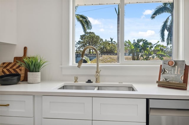 details with white cabinetry and sink