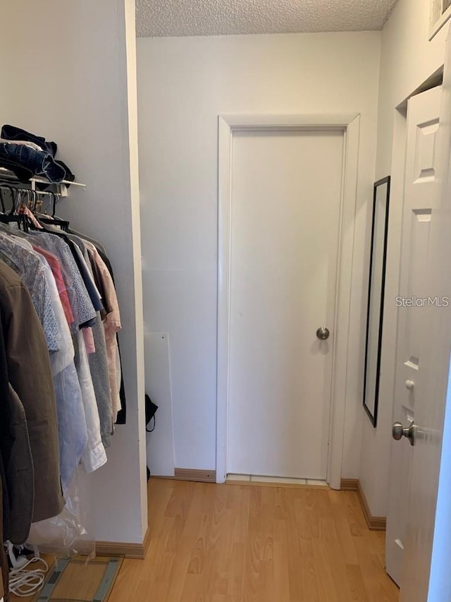 spacious closet with light wood-type flooring