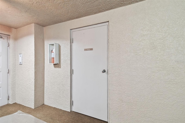 interior space with carpet flooring and a textured ceiling