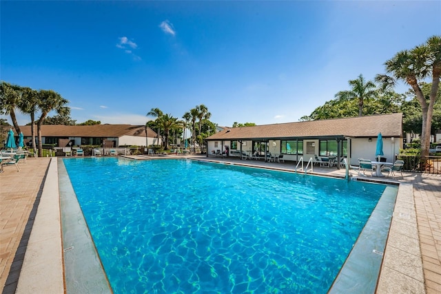 view of pool featuring a patio