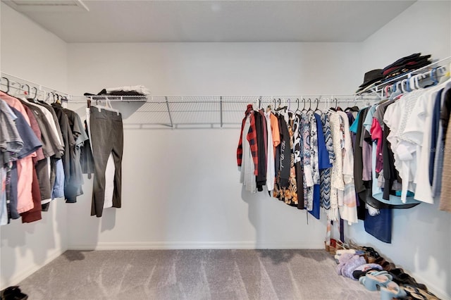 walk in closet featuring carpet floors