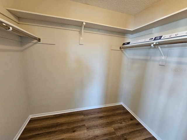 walk in closet with dark hardwood / wood-style flooring