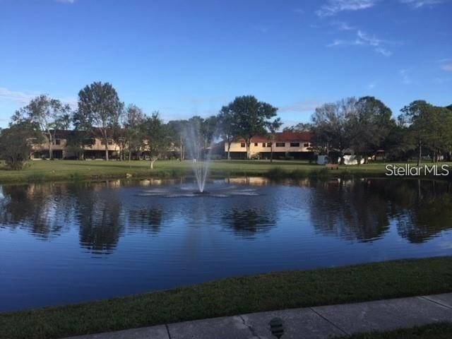 view of water feature