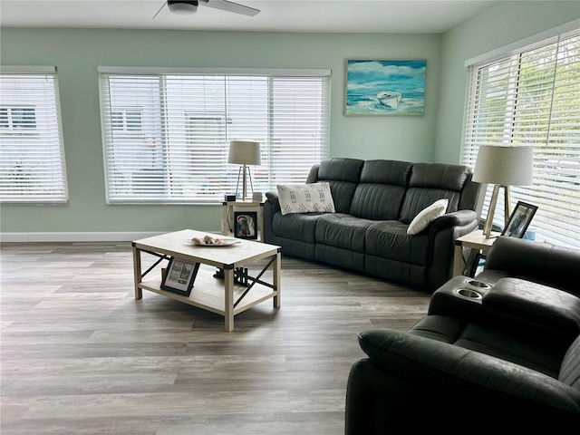 living room with ceiling fan and light hardwood / wood-style flooring