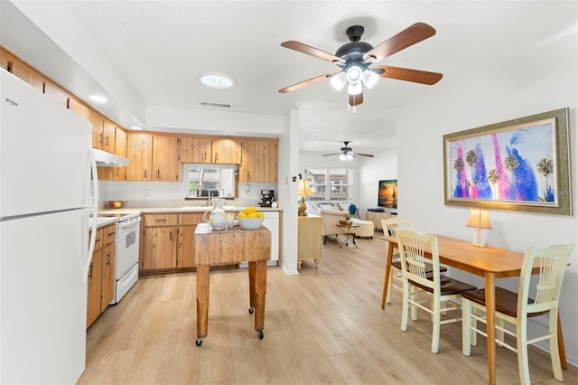 kitchen with a healthy amount of sunlight, sink, white appliances, and light hardwood / wood-style flooring