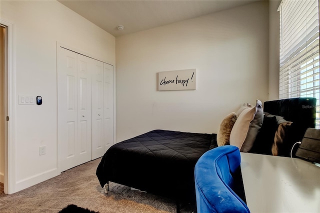 bedroom featuring carpet floors and a closet