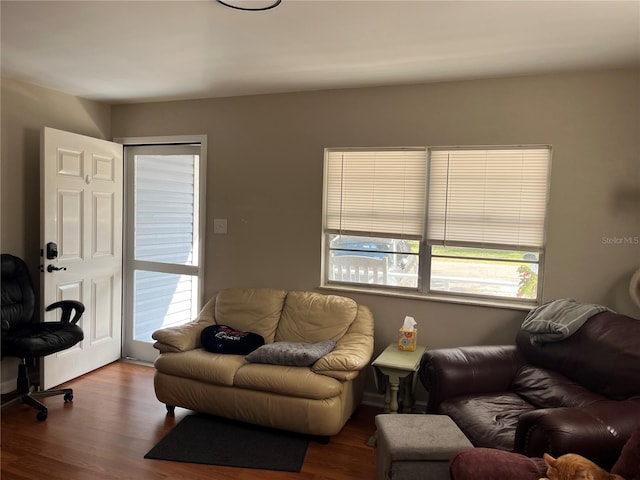 living room featuring wood-type flooring and plenty of natural light