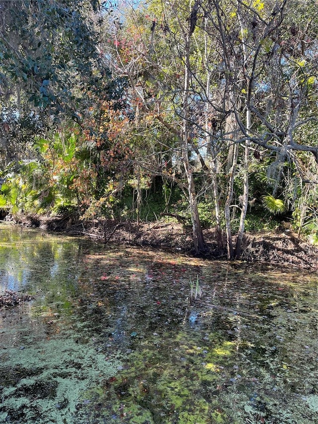 view of water feature