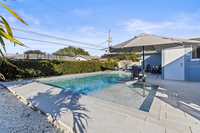 view of pool with a patio