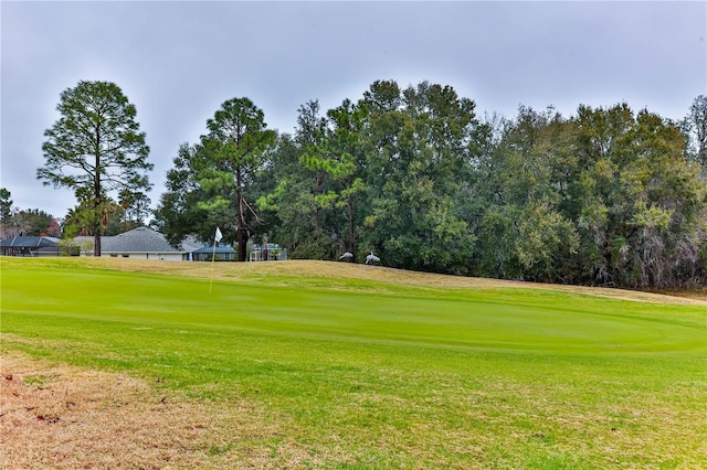 view of community with a yard