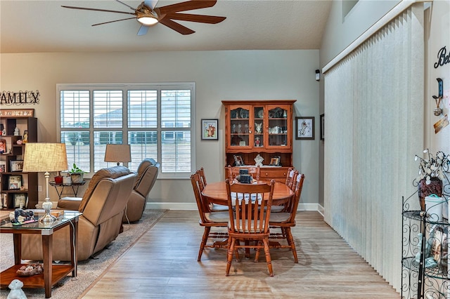 dining area with plenty of natural light, ceiling fan, and light hardwood / wood-style flooring