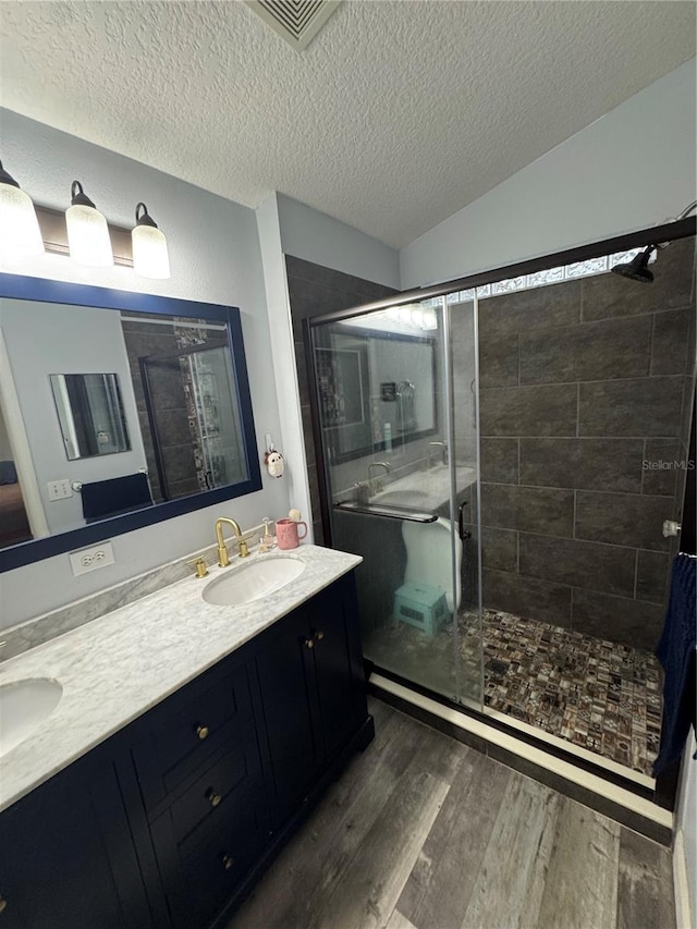 bathroom featuring vanity, a shower with door, a textured ceiling, and lofted ceiling