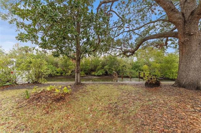 view of yard featuring a water view