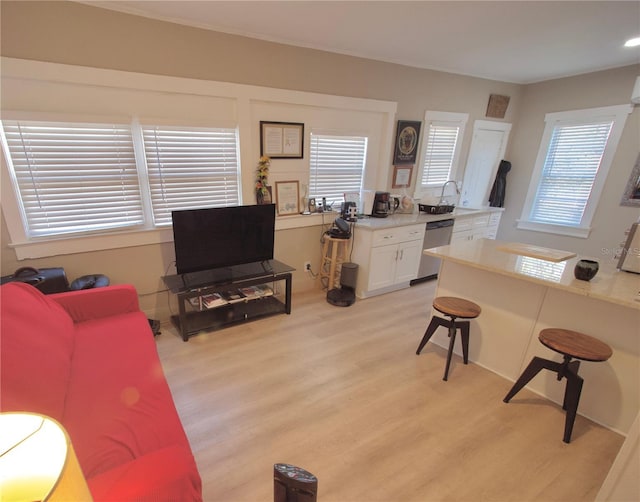 living room featuring light wood-type flooring