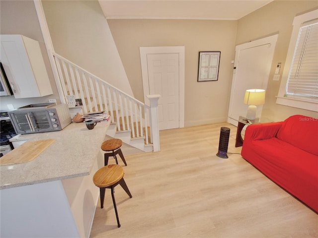 living room featuring crown molding and light wood-type flooring