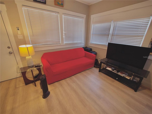 living room with wood-type flooring