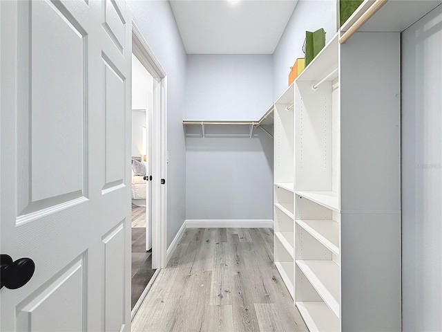 walk in closet featuring light hardwood / wood-style flooring