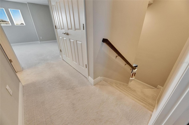 staircase featuring carpet flooring