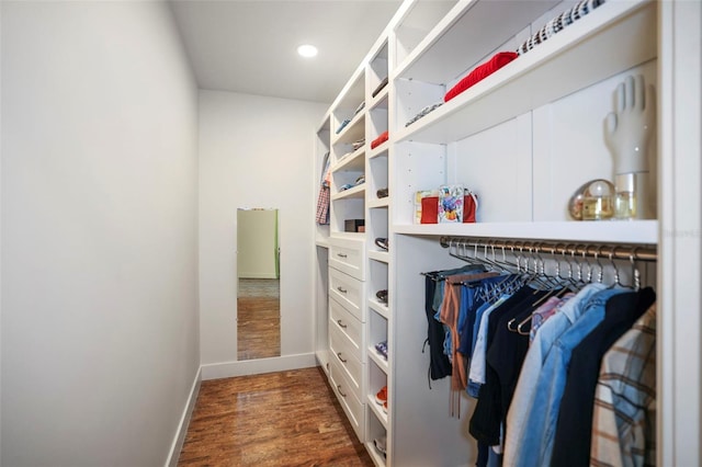 spacious closet featuring dark wood-type flooring