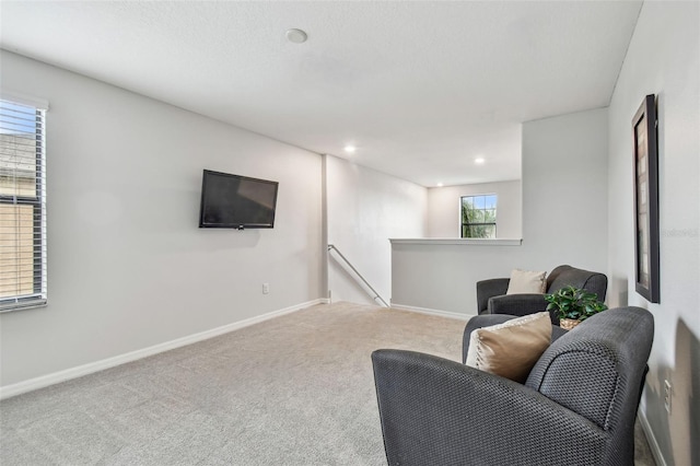 sitting room with carpet flooring