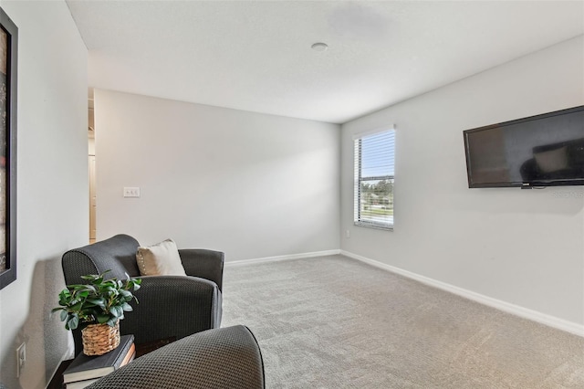 living area featuring carpet flooring