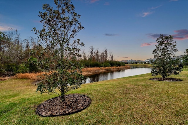 yard at dusk with a water view