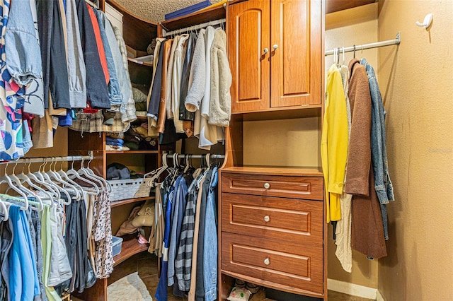 view of spacious closet