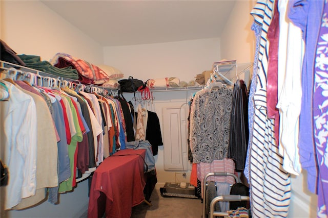 walk in closet with carpet flooring