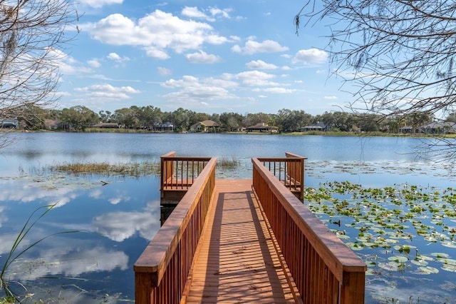 dock area featuring a water view