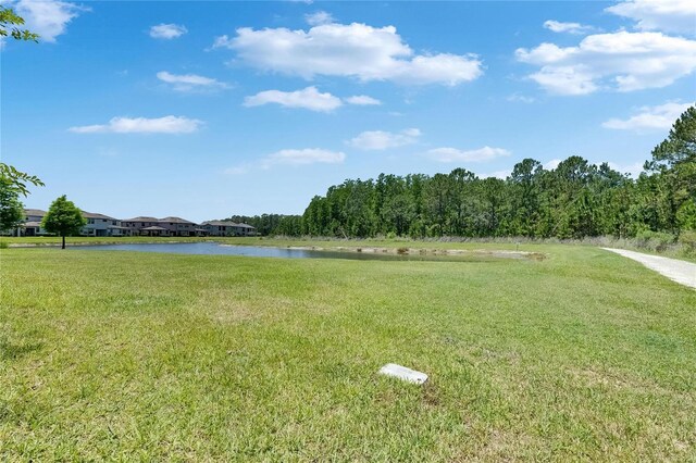 4899 Isola Ct, Wesley Chapel, FL 33543 - view of green lawn featuring a water view