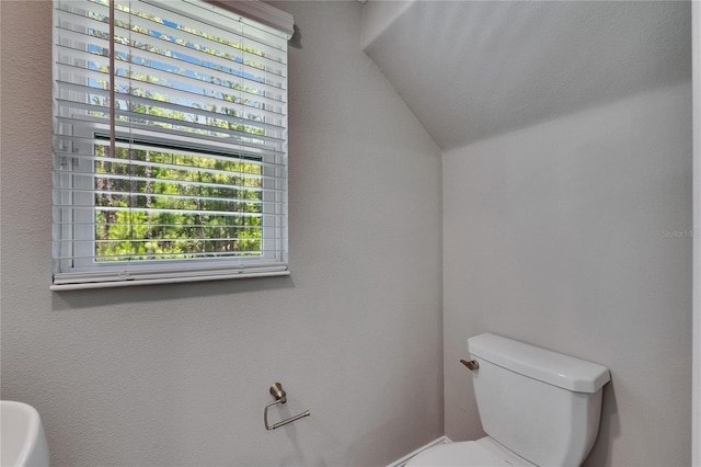4899 Isola Ct, Wesley Chapel, FL 33543 - bathroom with toilet and vaulted ceiling