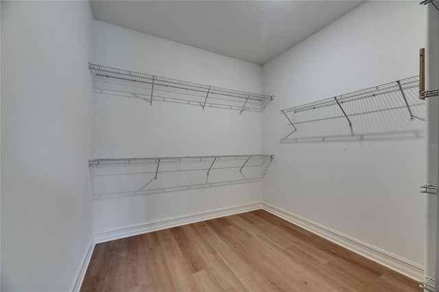 4899 Isola Ct, Wesley Chapel, FL 33543 - walk in closet featuring wood finished floors