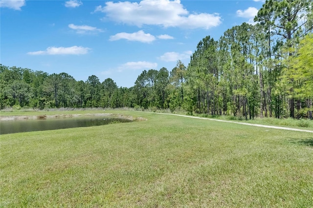 4899 Isola Ct, Wesley Chapel, FL 33543 - view of community with a water view, a yard, and a forest view