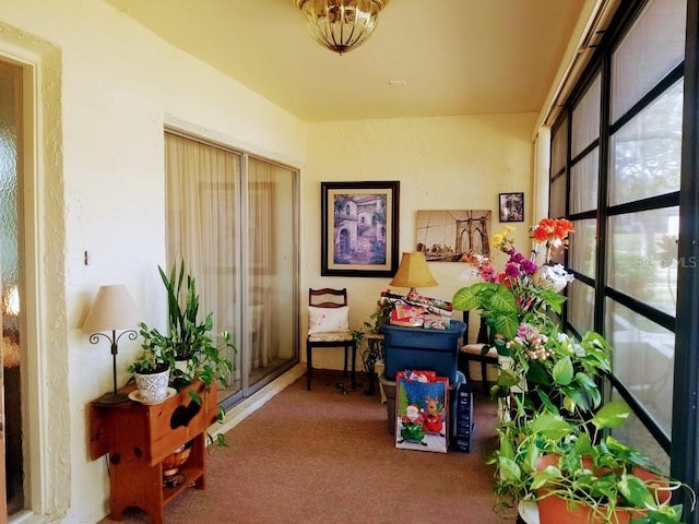 game room featuring carpet flooring