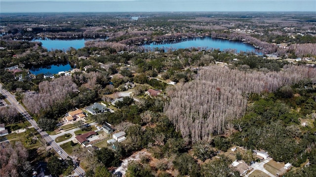 5709 Camila Song Ln, Tampa, FL 33625 - drone / aerial view featuring a water view and a view of trees