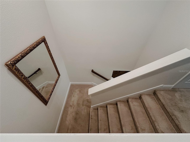 5709 Camila Song Ln, Tampa, FL 33625 - stairs with carpet flooring and baseboards