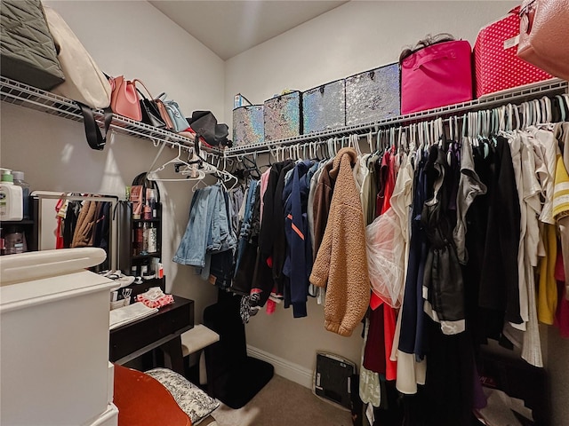 5709 Camila Song Ln, Tampa, FL 33625 - walk in closet featuring carpet floors