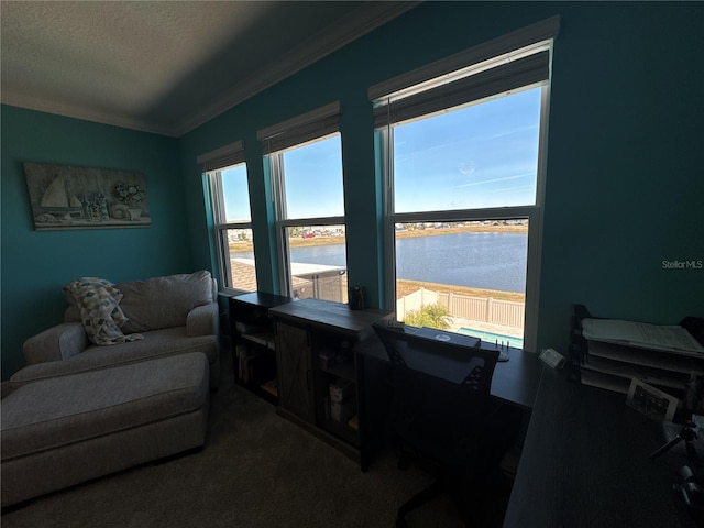 interior space with ornamental molding, a water view, and a textured ceiling