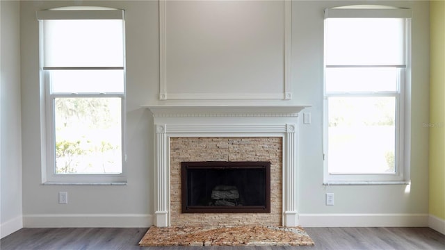 room details featuring hardwood / wood-style flooring and a fireplace