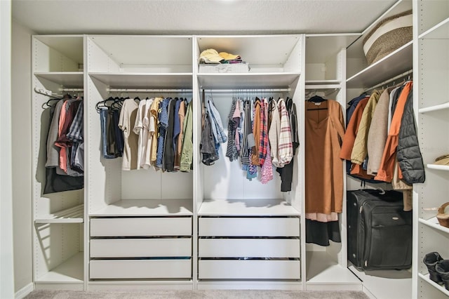 view of spacious closet