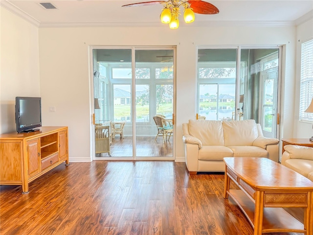 living room featuring dark wood-type flooring, crown molding, and a wealth of natural light