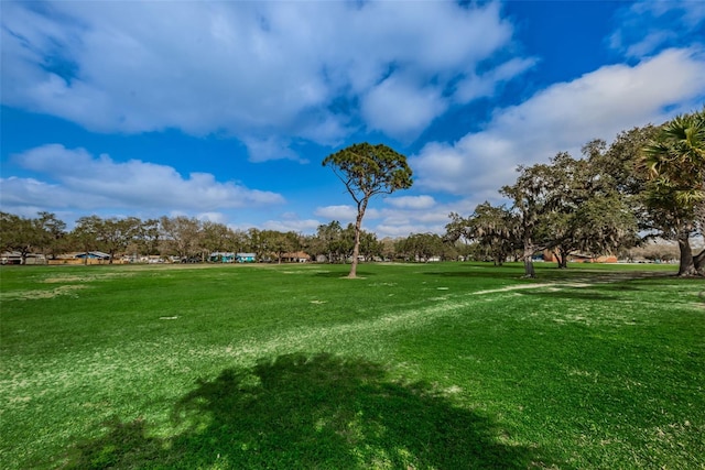 view of property's community featuring a yard