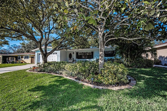 ranch-style house with driveway, an attached garage, a front lawn, and stucco siding