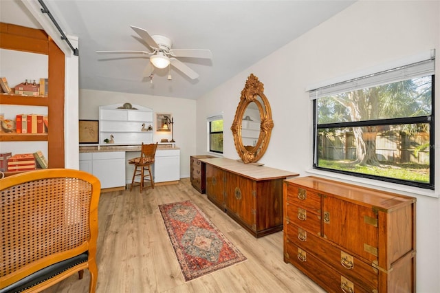 interior space with ceiling fan, a wealth of natural light, and light wood-style floors