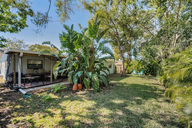 view of yard featuring a patio area