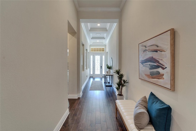 hallway featuring crown molding and dark hardwood / wood-style floors