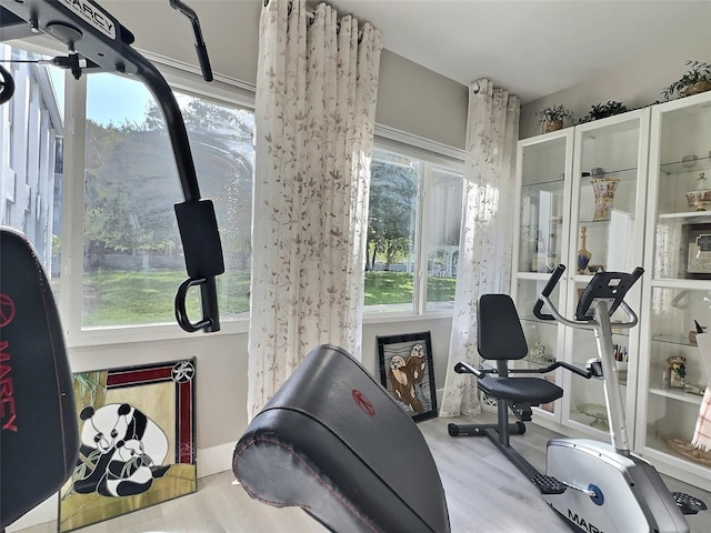 workout area featuring a healthy amount of sunlight and light wood-type flooring