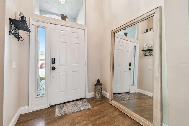 entryway featuring dark hardwood / wood-style flooring