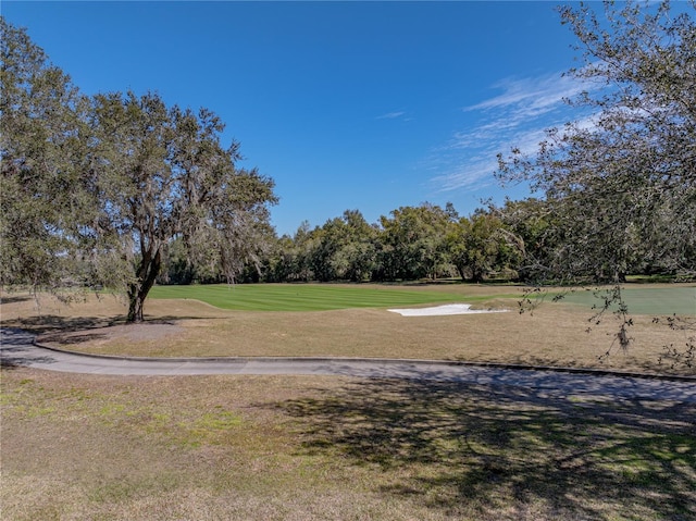 view of property's community featuring a lawn