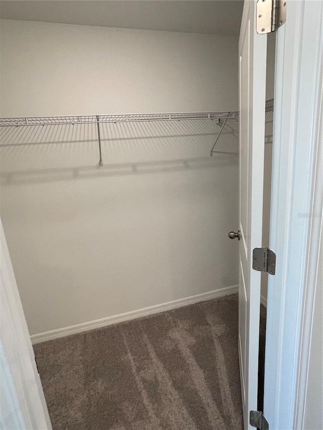 walk in closet with dark colored carpet